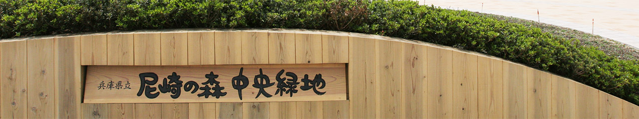 立花ルート